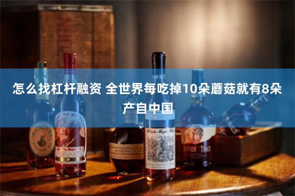 怎么找杠杆融资 全世界每吃掉10朵蘑菇就有8朵产自中国