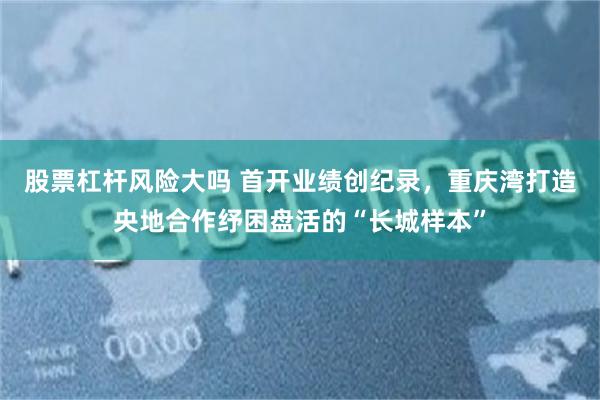 股票杠杆风险大吗 首开业绩创纪录，重庆湾打造央地合作纾困盘活的“长城样本”