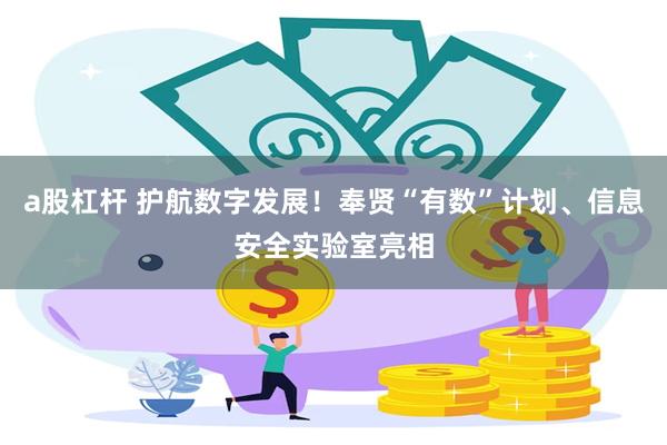 a股杠杆 护航数字发展！奉贤“有数”计划、信息安全实验室亮相